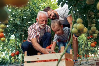 Potager : le top 8 des fruits et legumes les plus faciles a cultiver